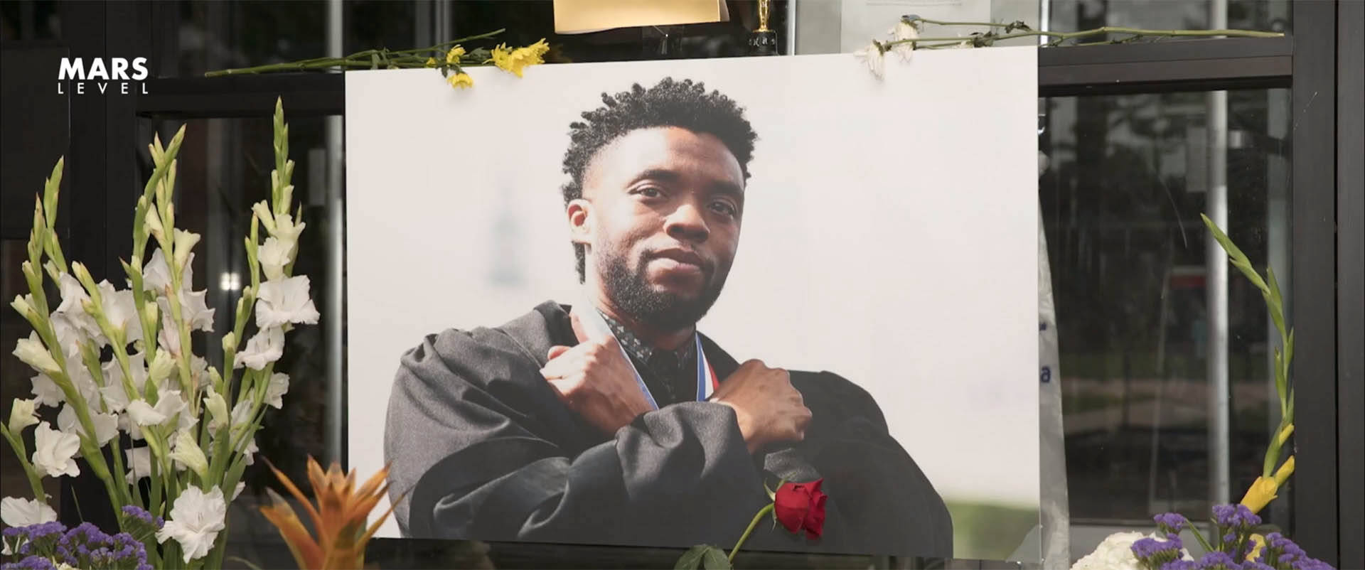 Chadwick Boseman's death