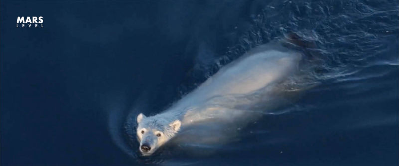 Ice melt at the poles